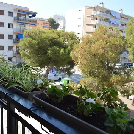 Homestay Compartidas En Un Apartamento