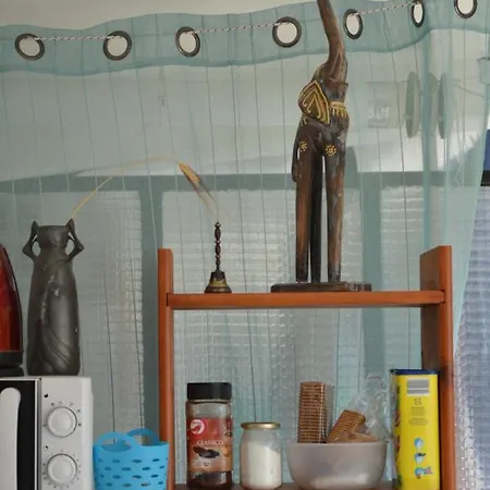 Compartidas En Un Apartamento Homestay