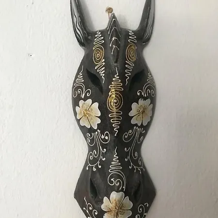 Compartidas En Un Apartamento * Salou