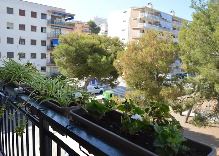 Kwatera prywatna Compartidas En Un